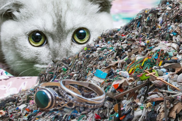 Бриллианты и котят выбрасывают в мусор жители Новосибирска