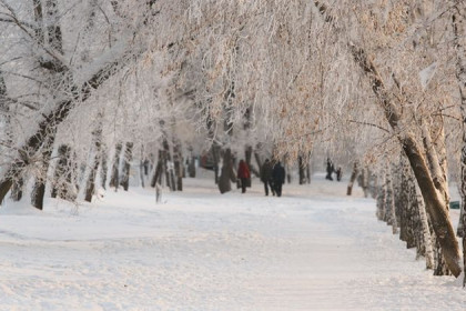 Теплую зиму 2017-2018 пообещали синоптики в Новосибирской области