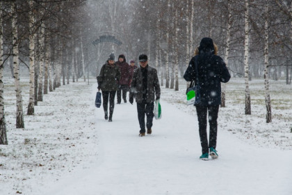 Сентябрь-2023 оставит Новосибирск без первого снега