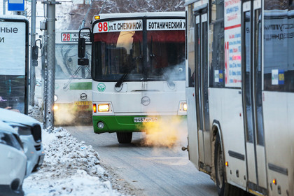 В Новосибирске школьники смогут пять месяцев бесплатно ездить в наземном транспорте