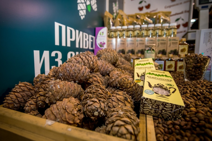 Почти 100% экспортного кедрового ореха из Новосибирска увезли в Китай