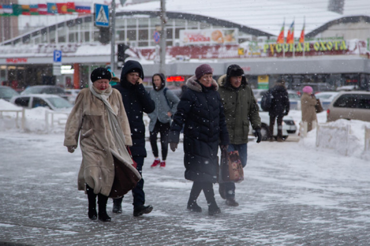 Погода 24 и 25 ноября в Новосибирске: метели и ледяные ветры
