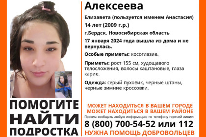 Под Новосибирском ищут пропавшую две недели назад 14-летнюю школьницу