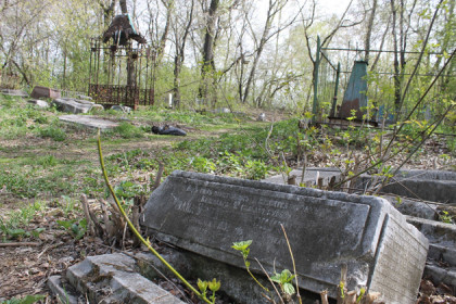 Старинное купеческое кладбище спасают в Куйбышеве