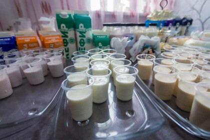 Новосибирские предприятия получили господдержку на маркировку молочной продукции