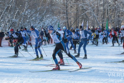 Только для взрослых будет «Лыжня России-2017» из-за морозов