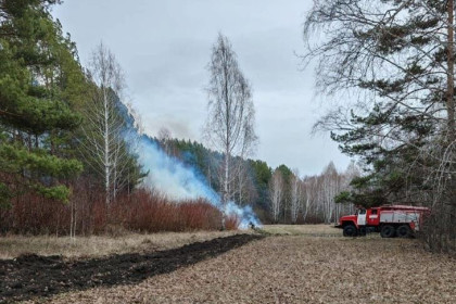 Шашлычники устроили пожар в парке Синягина под Новосибирском