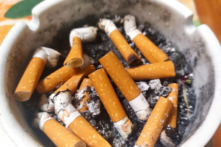 Табак с низким содержанием никотина получили ученые в Новосибирске