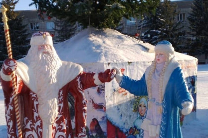 У Деда Мороза с симпатичной внучкой украли посох в Новосибирской области