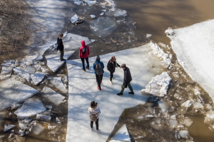 Пятерых детей с льдины сняли на Оби в Новосибирске