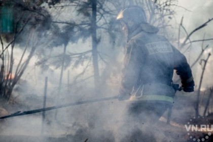 500 дач спасли новосибирские пожарные