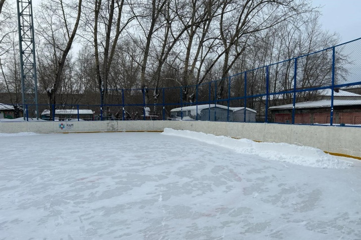 Прокуратура и СКР взяли на контроль дело об избиении детей-хоккеистов в Новосибирске
