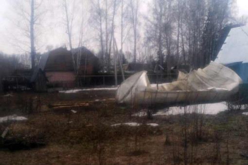 С массовым обрушением теплиц столкнулись дачники Новосибирска