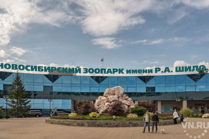 Бесплатный вход и новый фонтан: Новосибирск отмечает 70-летие зоопарка 