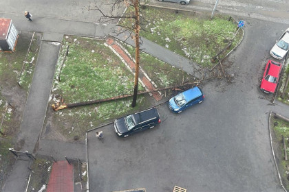 Ураган валил деревья и срывал крыши в Новосибирске
