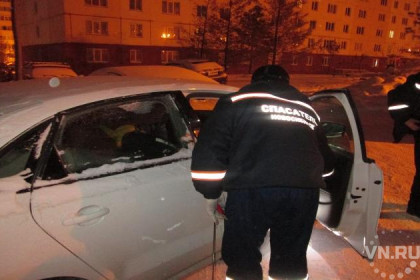Годовалый ребенок оказался заблокированным в авто, пока мама чистила снег