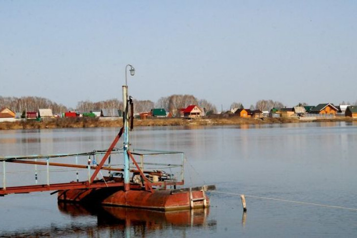 Лихорадку Западного Нила можно подхватить на пляжах Новосибирска