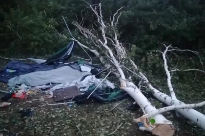 Дерево упало на палатку и убило женщину на озере Чаны в Новосибирской области
