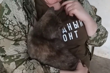 Кошка-талисман новосибирских штурмовиков Буся принесла потомство