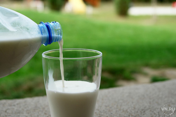 Семь предприятий-фантомов производили молоко в Новосибирской области