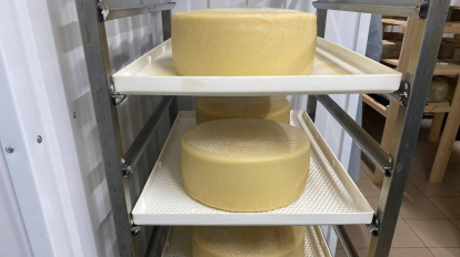 Новосибирская область заняла первое место в СФО по производству молока