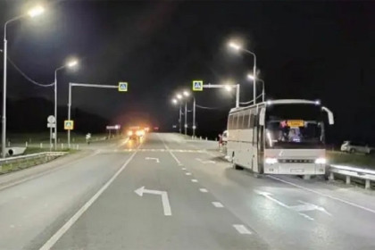 Автобус сбил на трассе бердского депутата Светлану Уварову