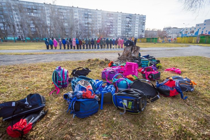 Бастрыкин проверит школу «Белая ворона» в Новосибирске после ЧП с девочкой
