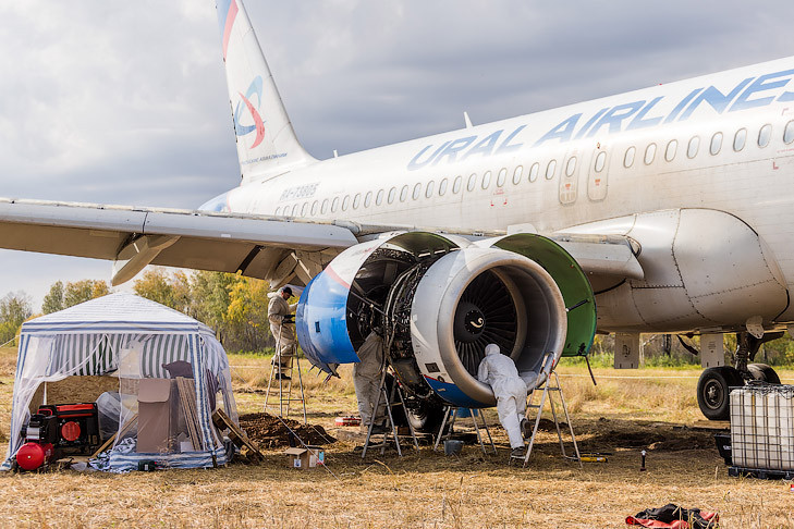В отчете о посадке самолета «Уральских авиалиний» в поле нашли 15 ошибок
