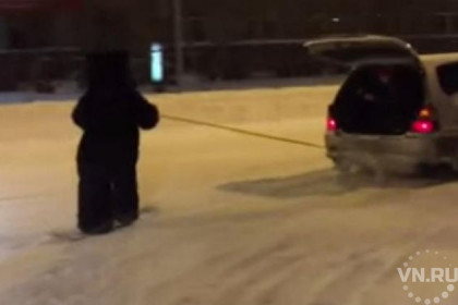 Медведя на сноуборде заметили на улицах Новосибирска