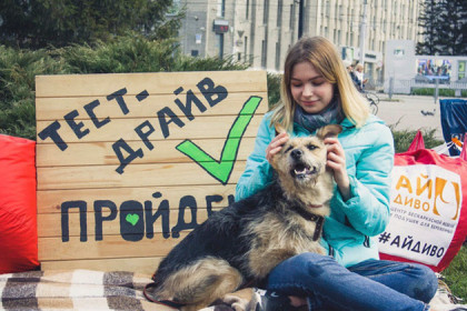 Приют для бездомных животных уже 26 лет работает в Дзержинском районе