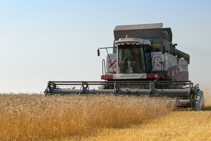 Аграрии собрали 83% урожая на полях в Новосибирской области