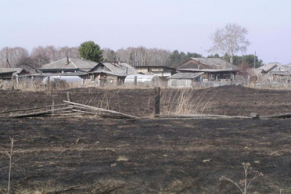 Траву вместе с домами поджигают в Новосибирской области 