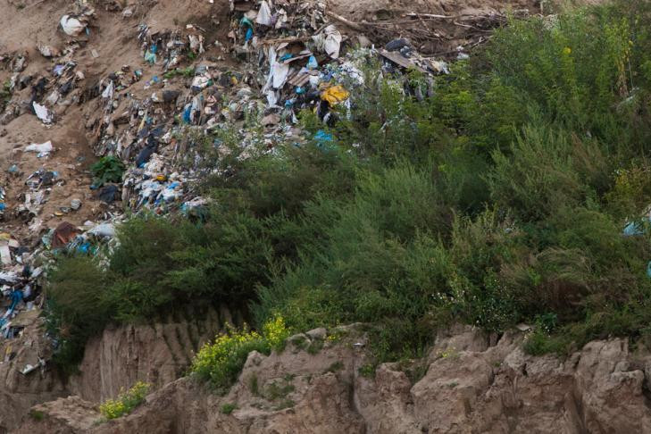 Жители Искитима предложили построить мусорный полигон с защитной лесополосой и газоном в 2 гектара