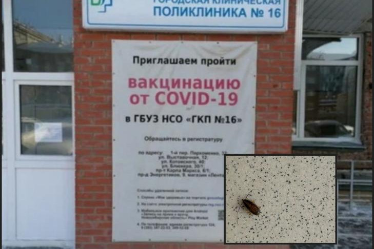 На тараканов в поликлинике №16 пожаловались жители Новосибирска