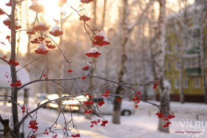 Погода в Новосибирске: резкое похолодание 27 января 