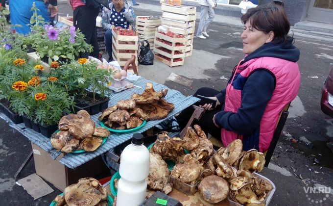Ядовитые грибы начали продавать в Новосибирске 