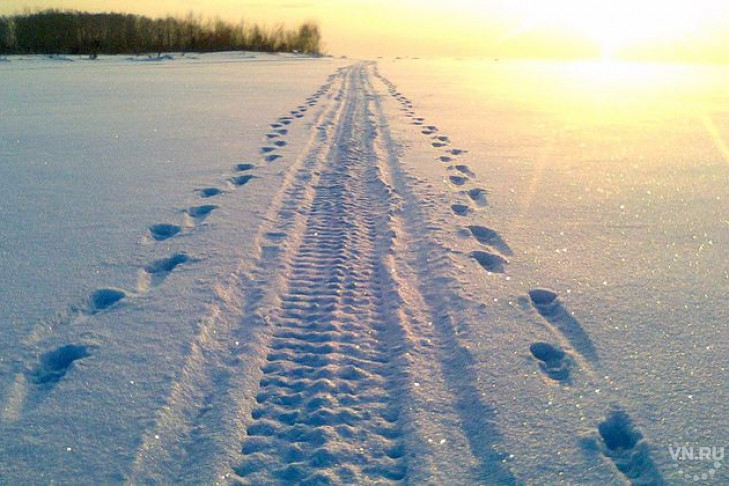 Погода в Новосибирске: январь попрощается морозами 
