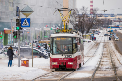 В Новосибирске опубликованы 16 автобусных маршрутов с бесплатным проездом для школьников