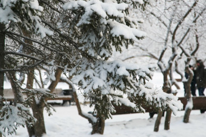 Погода в Новосибирске 19-22 марта: ледяной дождь и ветер