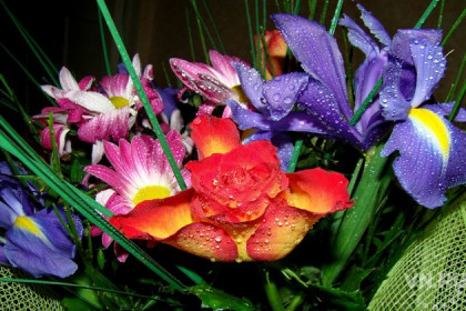 Артисты подарили цветы самой преданной поклоннице в Черепаново