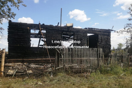 «Те, что выжили кричат от голода»: дом с животными сгорел под Новосибирском