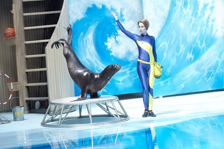 Открытие дельфинария в Новосибирске состоится 2 августа