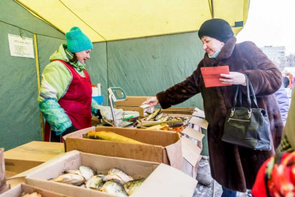 График работы продовольственных ярмарок в новогодние дни 2023 назвала мэрия Новосибирска