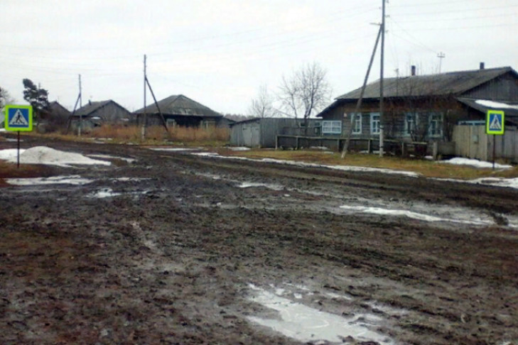 Бастрыкин взял на контроль ситуацию с девочкой-инвалидом в Черепаново