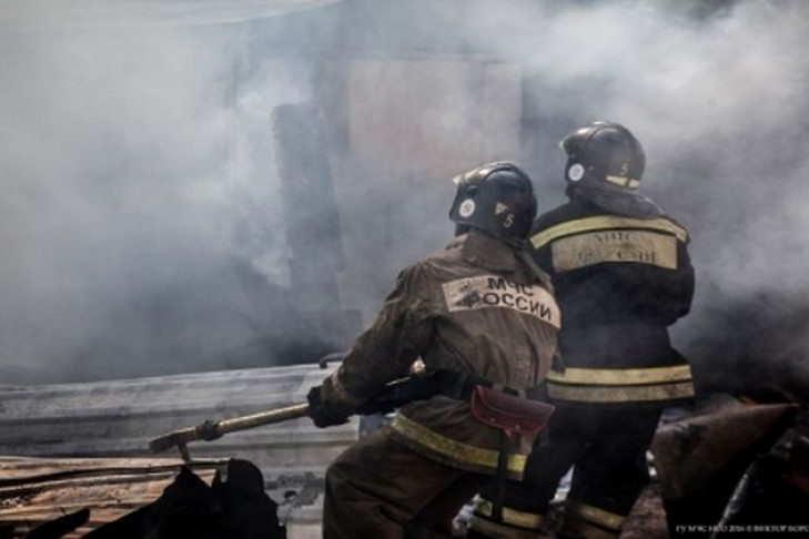 20 кур погибли на пожаре в Коченево