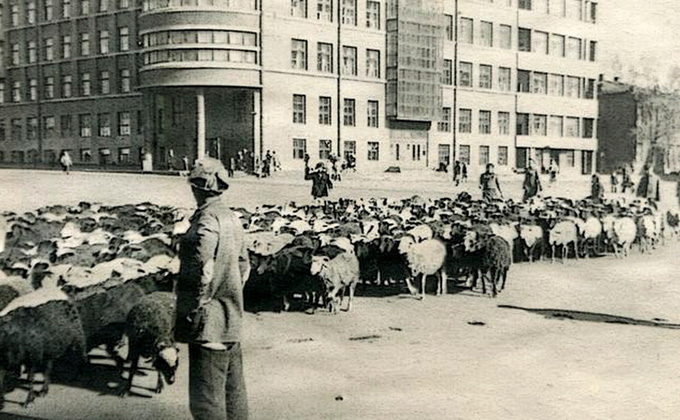 На площади Свердлова, где сегодня оживленное движение, раньше можно было увидеть стадо баранов.Фото предоставлены Игорем МАРАНИНЫМ