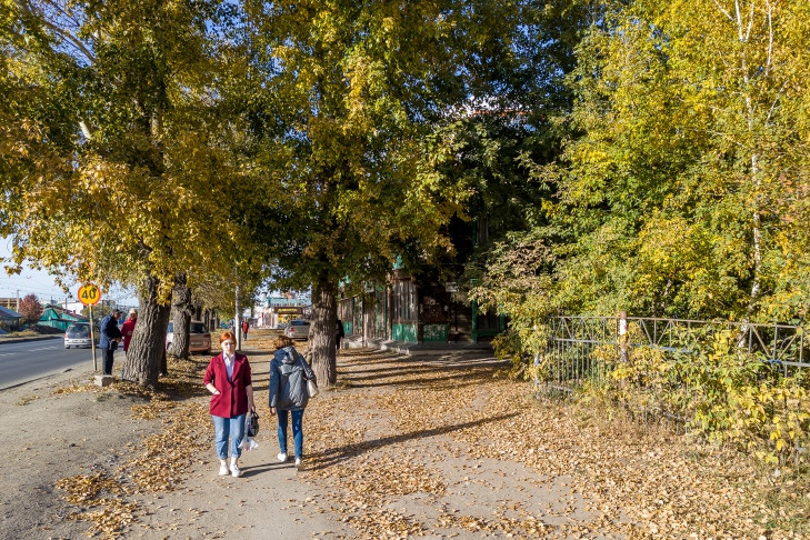 Потепление до +19 после первого снега пообещали жителям Новосибирской области