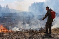 Губернатор Травников подписал постановление о начале пожароопасного сезона
