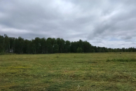 Летнее тепло вернется в Новосибирск на выходных