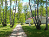 Более 500 путевок в детские лагеря в Новосибирской области уже оформлены онлайн